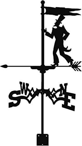 Wetterfahne Wetterfahnen-Ornament, Gartenstecker, Wetterfahne, Windrichtungsanzeiger, professionelles Messwerkzeug für den Außenbereich, Garten, Hof, Windfahne, Wetterhahn, einfach zu montieren (Magi