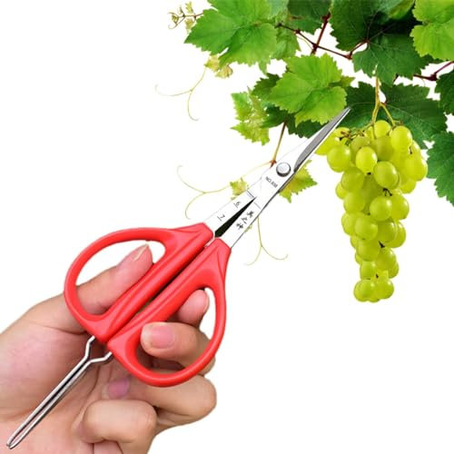 Weinleseschere 2-in-1 Obstpinzette und Schere