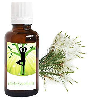 Olio di albero del tè.