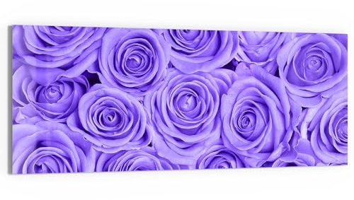 DEQORI Glasbild Echtglas | Motiv Lila Rosenpracht | horizontal einteilig 125x50 cm | schöne Dekoration | Wandbild für Wohnzimmer, Schlafzimmer, Flur & Küche | moderne Wanddeko