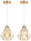 iDEGU 2 Stück Pendelleuchten Gold 16cm Industrial Hängelampe aus Metall Lampenschirm Käfig Design Vintage Lampe E27 1-flammig Hängeleuchte für Esstisch Flur Küche Schlafzimmer
