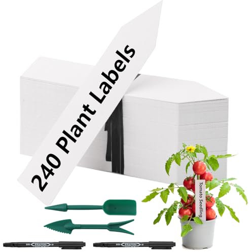 240 Stück Pflanzenschilder, Kunststoff Pflanzschilder, 10×2cm Pflanzenstecker, Pflanzenschilder Wetterfest für Obstgärten Pflanzen Baum, mit 2 Schwarzen Marker und 2 Sämlingswerkzeuge