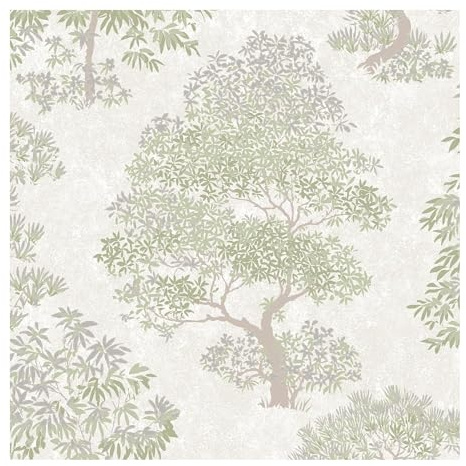 Super fresco Elmwood Sage Wallpaper | Paste the Paper | Green Trees | Eco-Friendly