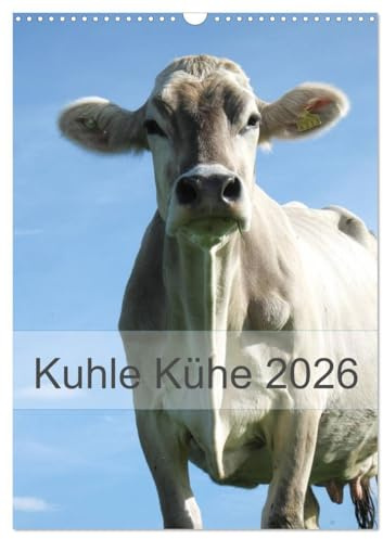 Kuhle Kühe 2026 (Wandkalender 2026 DIN A3 hoch), CALVENDO Monatskalender: Monat für Monat begleiten uns Kühe durch das Jahr (CALVENDO Tiere)