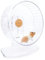 Niteangel Super-leise Hamsterräder - Leise Spinner-Hamsterräder mit verstellbarem Ständer für Zwerghamster, Gerbils, Mäuse oder andere kleine Tiere (XL, Transparent)