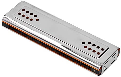 24 Löcher C & G Key Doppelseitige Mundharmonika, Tremolo Mundharmonika mit Box Musikinstrument für Anfänger