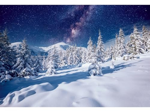 YongFoto 1,5x1m Winterlandschaft Hintergrund Wei?Schneeflocke B鋟me Wald Naturlandschaft Fotografie Hintergrund Weihnachten Neujahr Party Banner Kinder Portrait Fotostudio Requisiten Vinyl
