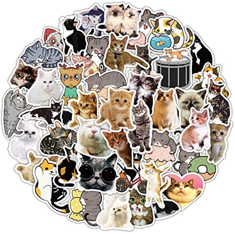 POPNWOW Süße Katze Aufkleber Pack 50 Stück, Wasserdicht Vinyl Aesthetic Cute Cats Stickers für Gepäck Reisekoffer Laptop Pad Phone Wasserflasche Fahrrad Auto Motorräder Skateboard Gitarre