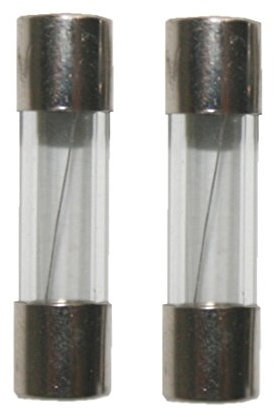 Feinsicherung Glassicherung Sicherung 5x20mm flink 250V 30A 2 Stück (0042)