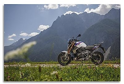 KAIMI Sport-Motorrad-Poster für BMW R 1250 GS, dekoratives Gemälde, Leinwand-Wandposter und Kunstdruck, modernes Familienschlafzimmer-Dekor-Poster, 50 x 75 cm