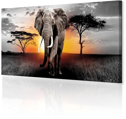 decomonkey Akustikbild Afrika Tiere 120x40 cm 1 Teilig Leinwand Modern Bilder Wandbilder XXL Schallschlucker Schallschutz Akustikdämmung Wandbild Deko Elefant Natur