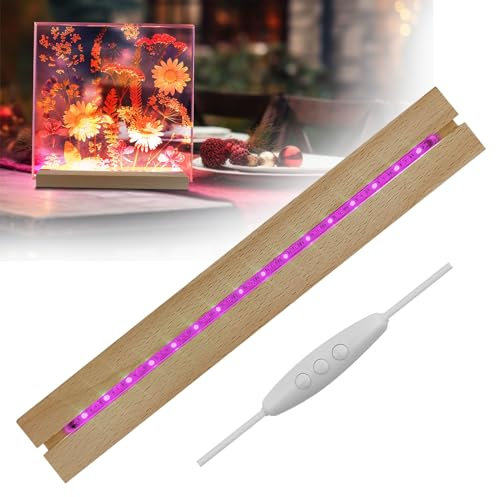 luolety Rechteckige LED-Lichter, 30 cm, beleuchteter USB-LED-Lichtsockel, Schreibtisch-Display-Basis, dekorativ für DIY-Acrylplatte, 16 Lichtperlen (buntes Licht, 1)