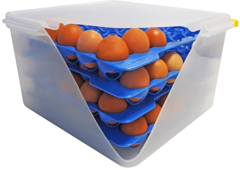 Araven Airtight Container Polypropylene - with 4 Egg Trays GN 2/3 200mm | Optimises food storage and organization with reliable everyday performance built for busy commercial kitchens.