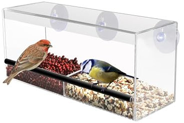 Acrylic Clear Window Bird Feeder large seed peanut strong hanging suction cups Perspex transparent viewing with drain holes- Includes 3 Spare Suction Cups
