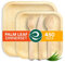 ECO SOUL Juego de vajilla de hoja de palma 100% compostable para 75 invitados [platos cuadrados de 10 y 6 pulgadas, 75 unidades cada uno | tenedor, cuchillo, cuchara, 100 unidades cada uno] |
