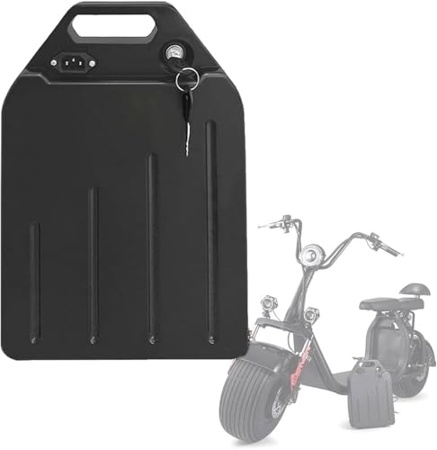 60V 20Ah 30Ah Ebike Battery, 60V 20Ah 30Ah Batterie de vélo électrique Haute Puissance avec Chargeur 60V Batteries pour vélo for 2000W 1000W 750W 500W 200W Motor