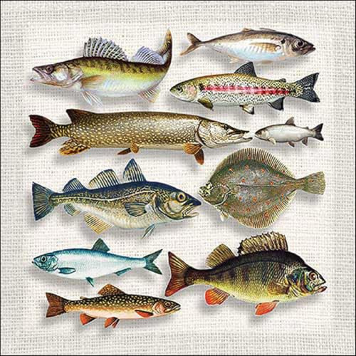 Ambiente Serviette Lunch 33x33cm Motiv: Fish variety - Butt Zander Kabeljau Forelle 20 Stück pro Packung