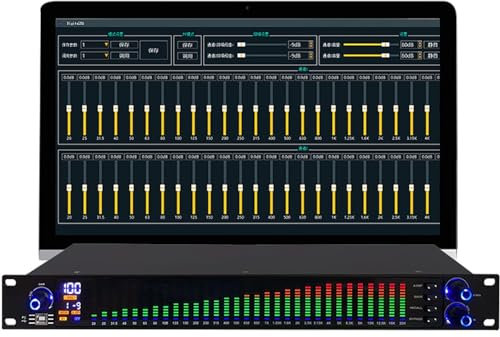 Equalizzatore EQ parametrico a 31 Bande, Equalizzatore Stereo Singolo Professionale, con Display LCD HD Chip di Elaborazione DSP Riduzione Intelligente del Rumore processore Audio Digitale