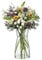 Vases, Vase Flowers Glass, Ledoir 20cm 7.87 Inch Tall Modern Essentials 1L Clear Modern Living Room Round Flower Jug Pampas Decor Simplistic Gifting Flowera Tulip Rose