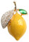 Funight Broche jaune brillant brillant avec strass citron, décoration de vêtements pour femme