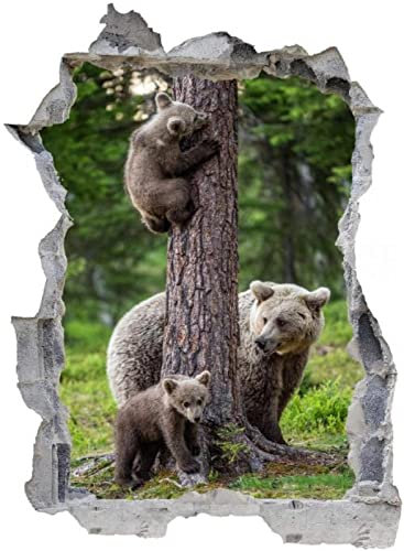 Gougeltd Stickers adhésifs Effet 3D | Sticker Autocollant - Arbre généalogique de l'ours- Décoration murale pour bébé Chambre et Salon 72x113cm