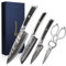 Sunnecko Couteaux de Cuisine et Ciseaux 4 pièces, Set Couteau Cuisine Professionnel en Acier Damas 73 Couches, Ciseau Inox Couteau Office Santoku Chef
