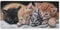 XXL Gaming Mauspad Schwarz 27.6x11.8in, verlängertes Mousepad, mit Motiv Schreibtischunterlage Katze, Erweiterter Schreibtisch Schutz, Verbessert Präzision und Geschwindigkeit Gaming Mauspads N1-492