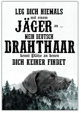 Schild DEUTSCH DRAHTHAAR Dog Hund Spruch Türschild Hundeschild Jagd Jagdhund Wall Art Geschenkidee lustiger Spruch Hundemotiv Aluminium Wetterfestes Hundeschild