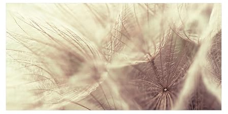 micasia Vinylteppich nass abwischbar Blumen Bodenschutz - Made in Germany - Pusteblume Retro Vintage 2,2mm dünne Vinyl Bodenmatte beige Küche Flur trittsichere Matte 2497 (200x100cm)