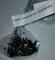 AGAVE utahensis var. Nevadensis 15 SEEDS