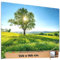 TRIOSK Sichtschutz Garten Deko Zaun Plane Blickdicht groß mit Zaunblende Motiv Blumenwiese Baum Sonnenlicht für Zaunelement Doppelstabmatten Stabmattenzaun Gartenzaun PVC 250x180 cm