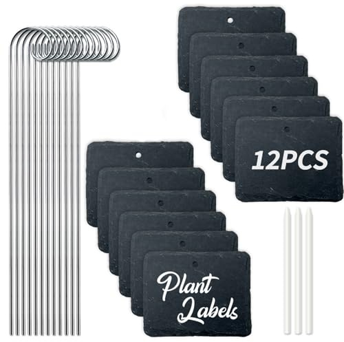 Lot de 12 Étiquettes Plantes Ardoise Rectangulaires avec Tige Métal, Imperméables Extérieur, Marqueurs Jardin Réutilisables avec Stylo Craie pour Herbes, Potager et Fleurs