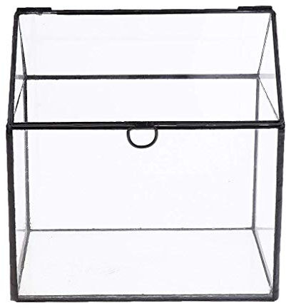 Backbayia Boîte de Terrarium Vase Maison Forme Vasques à Plantes