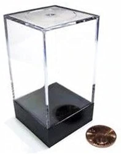 Plastic Figure Display Box | Medium Tall | 2-Pack
