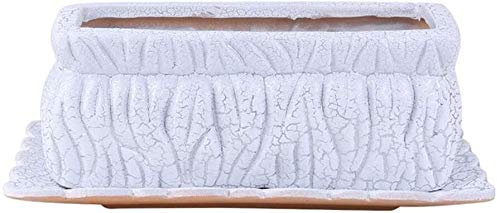 QQYDZSW for la Maison Ornement Bureau Bibliothèque Déco Crack Design Créatif Rectangle Plantes succulentes Plantation Jardinière Intérieur Cactus Pot de Fleurs Bureau Bureau Bonsaï Pots de Plantes