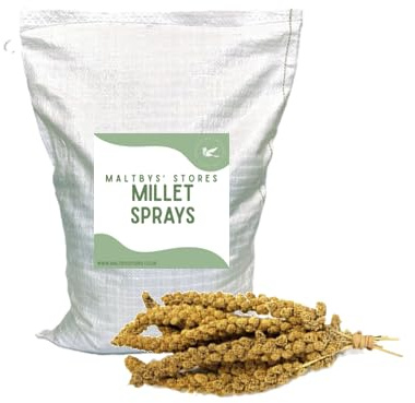Maltbys' Stores 10x Millet Sprays | Premium Supplementary Millet Sprays for Pet Cage & Aviary Birds