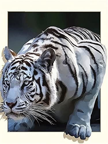 EXQULEG Diamond Painting Bilder, 5D Diamant Painting Set, Full Drill DIY Diamant Malerei Kits Arts Craft für Haus, Wand Und Eingang Dekoration (30x40cm,Tiger)
