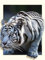 EXQULEG Diamond Painting Bilder, 5D Diamant Painting Set, Full Drill DIY Diamant Malerei Kits Arts Craft für Haus, Wand Und Eingang Dekoration (30x40cm,Tiger)