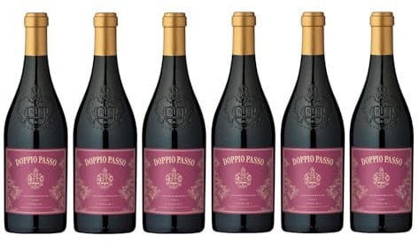 Doppio Passo Appassimento Puglia IGT Rotwein Trocken Vegan Italien inkl. FeinWert E-Book (6 x 0,75l)