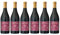 Doppio Passo Appassimento Puglia IGT Rotwein Trocken Vegan Italien inkl. FeinWert E-Book (6 x 0,75l)