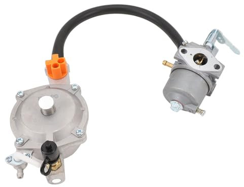 Kit di Conversione da Gas a GPL NG per Carburatore Doppio, Parte di Ricambio per Motore Generatore a Carburatore Doppio per Tosaerba GPL NG 1kw 1900H