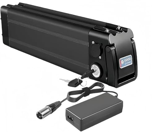 Batterie De Vélo Électrique 24V 8Ah 10Ah 12,5Ah 18Ah Batterie Ebike pour Moteurs 350W- 100W avec Chargeur (24V, 12,5Ah)