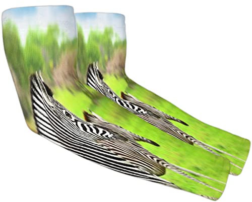 RIRIX Grassland Zebra Herren Damen Sonnenschutz Armstulpen Sport Kompression Armstulpen UV Schutz Tattoo Armstulpen Golf Laufen Radfahren Outdoor Sport Etc - 1 Paar, wie abgebildet, Einheitsgröße