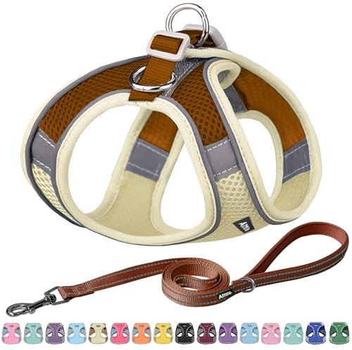 AIITLE Step in Hundegeschirr und Leine Set - Ziehfreies, fluchtsicheres Westengeschirr mit reflektierenden Bändern, verstellbares Hundegeschirr für kleine und mittlere Hunde Beige M