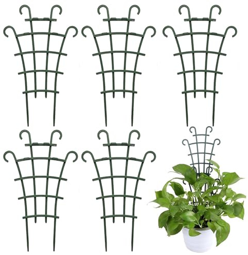 Rankgitter Für Topfpflanzen - 5 Stützpfeiler Für Kletterpflanzen | Paprika Stäbe Im Außenbereich | Für Garten Balkon Innen Außen Monstera Efeutute Efeu Erbsen Chili