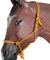 HILASON Pferd Western Tack Poly Rope Halfter Orange | Westernhalfter für Pferde | Halfter für Pferde | Westernhalfter für Pferde | Pferdehalfter | Polypropylenhalfter