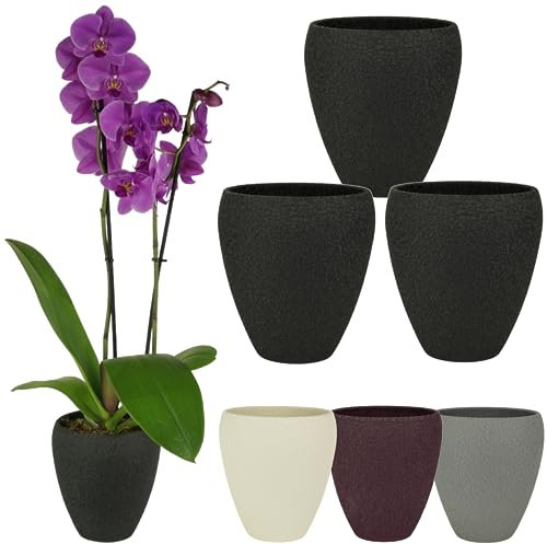 Spang Luna Orchideentopf Orchideen Übertopf Blumentopf Topf ○ Made in Germany (1er Set, Schwarz)