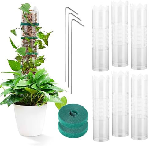 Kinberry Monstera Rankhilfe - 33cm Pflanzstab Kokos, Biegsame Moosstab für Monstera mit Zubehör, Stab für Kletterpflanzen Natürlicher Pflanzenstütze (6 Pack)