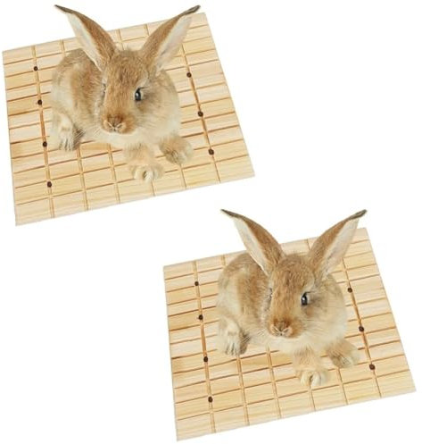 Lot de 2 planches à gratter en bois pour lapin, coussinets de pied de lapin et jouet grinceur de dents, accessoires de cage pour petits animaux, hamsters, chinchillas, cochons d'Inde, 27 x 20 cm