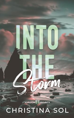 Into the Storm (Hudson Security, Band 2)